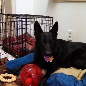 Meet your Posher, Dianna